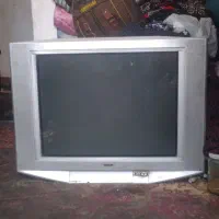 تلویزیون