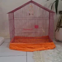 قفس پرنده