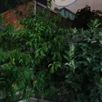 خانه ویلایی شهرک شهدا ۳۰۰متر