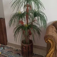 درختچه مصنوعی