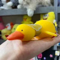 فیجت