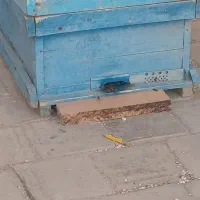 کندو