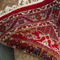 موکت|موکت|معمولان, |دیوار