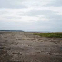 فروش-زمین-چند-منظوره