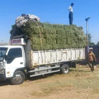 یونجه خشک درجه یک