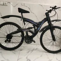 دوچرخه حرفه ای