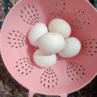 تخم مرغ لاری