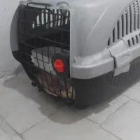 باکس حیوان