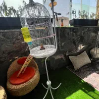 قفس پرنده