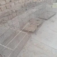 قفس|لوازم جانبی حیوانات|قم, جمکران|دیوار