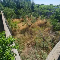 زمین-باغچه