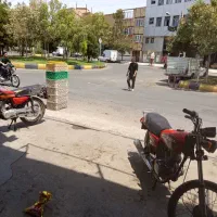 اجاره منزل شیخ آباد