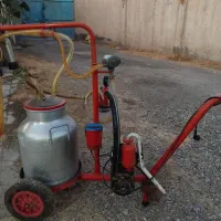 شیردوش‌گاو