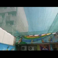 تور سبز سایبان
