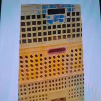 سبد ماهی ۳ عدد