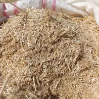 کاه گندم درجه یک نرم نرم تحویل 16000بدون گونی