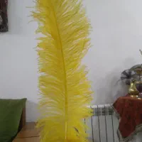 پر علامت