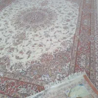 ۱۲ متری ۵۰۰ شانه
