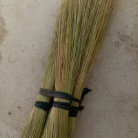 جارودستی