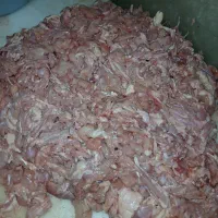 بچه فیله تمیز بدون غضروف درجه یک زیر قیمت