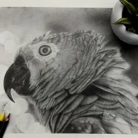 نقاشی|تابلو، نقاشی، عکس|پاکدشت, پاکدشت (مامازند)|دیوار