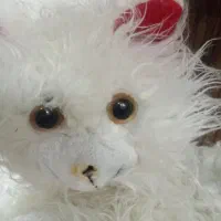 تعدادی عروسک