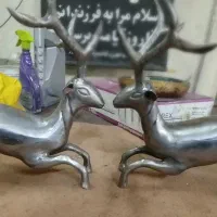 علم ، علامت