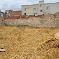 فروش زمین شناژ آماده