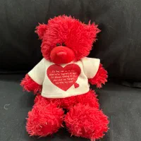 عروسک مناسب هدیه ولنی