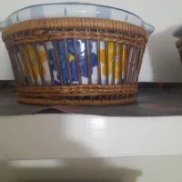گل پنبه ای