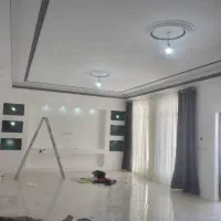 نقاش ساختمان، رنگکار