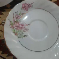 پیش دستی