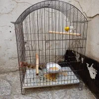 قفس بزرگ طوطی