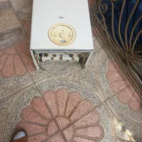 یک عدد پگیچ سالم از روکارواکردم