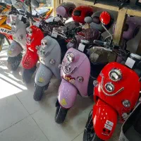 مینی پاکشتی 50cc سند آماده