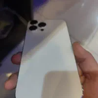 13 پرومکس