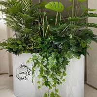 نخل اریکا(اجرا کننده گیاه سبز مصنوعی) فلاورباکس