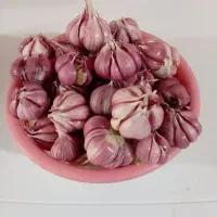 سیر ییلاق اسالم به خلخال (ورگه دره)پاک شده