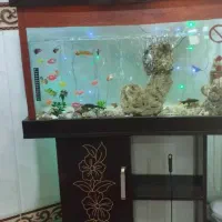 میز تلویزیون جدید دوتکه آکواریوم وقهوه ساز  نو