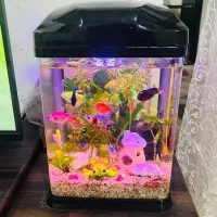 فروش اکواریوم چراغ دار یک ماه کارکرد مارک آکوا