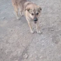 ۸۸۸۸