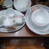 حراج ظروف آرکوپال و....