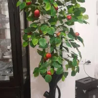 درخت سیب|گل مصنوعی|کرج, شاهینویلا|دیوار