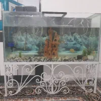 اکواریوم ماهی