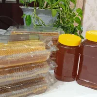 عسل بهاره طبیعت روستای خسرویه