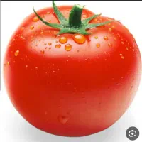 آبگیری گوجه