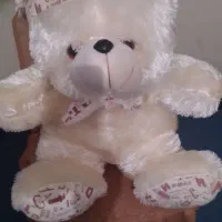 خرد ریز منزل