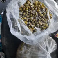 دک تازه منطقه وکیل اباد