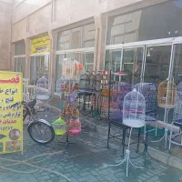 ارزن مخلوط گندم خوراک مینا قفس لوازم سرلاک