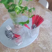 جا قاشق و چنگال